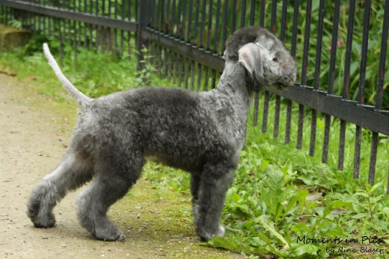 Antares 2009-08-01 & 02 (39).JPG